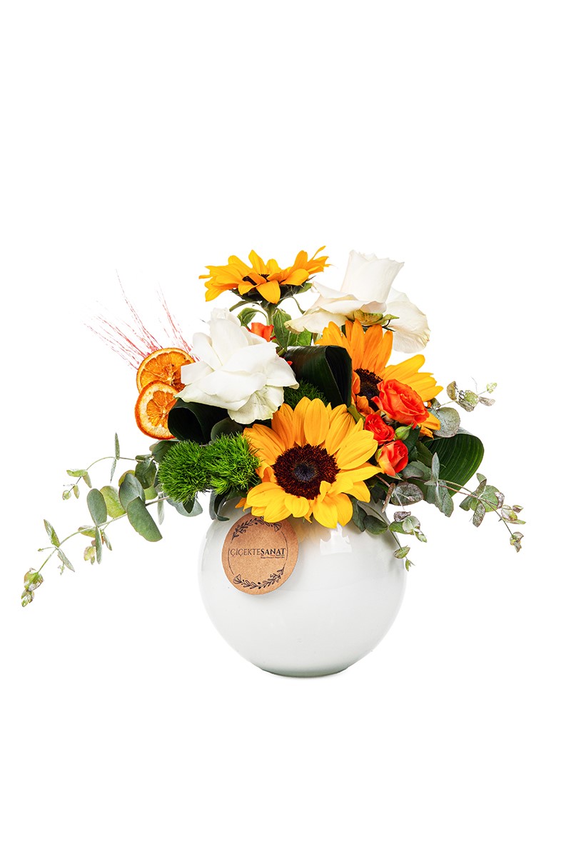 Sunflower Effect - 1