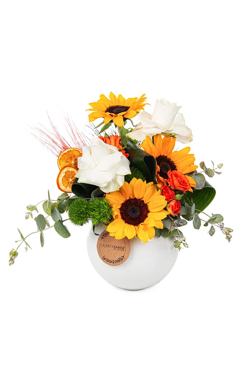 Sunflower Effect - 4
