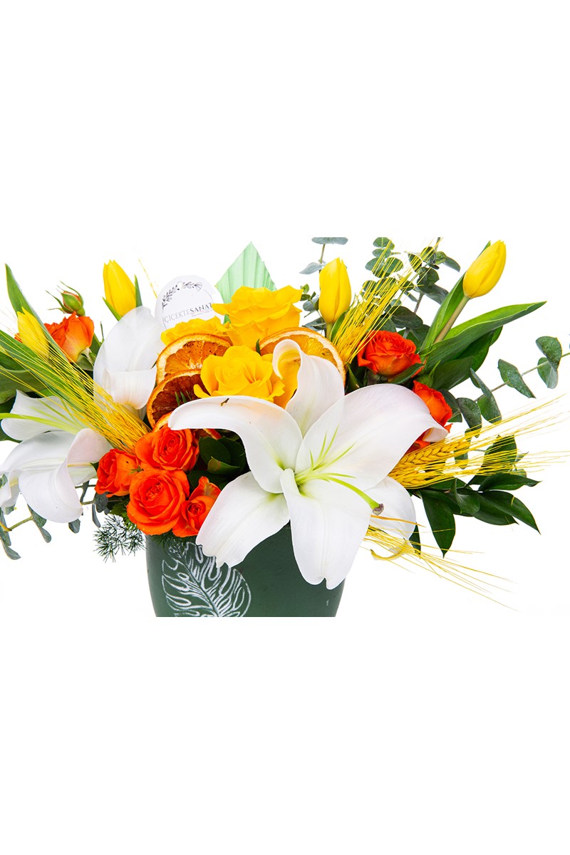 Leaf Lilies