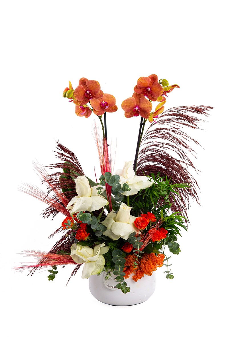 Premium Orchid Box - 1