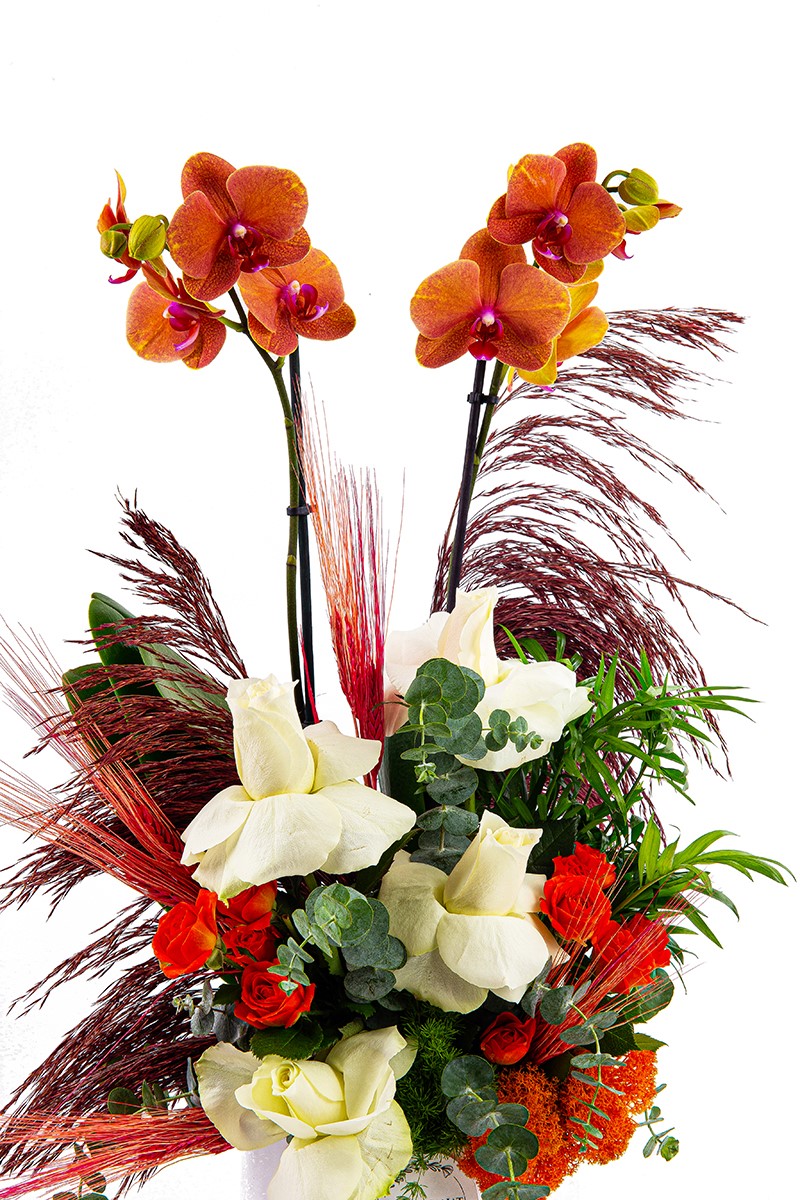 Premium Orchid Box - 2