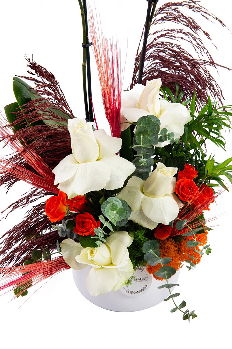 Premium Orchid Box - 3