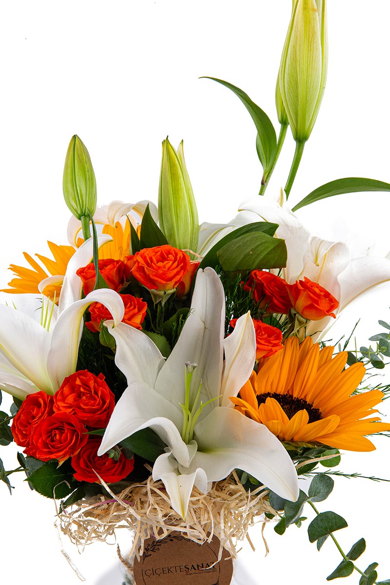 Lilies Roses