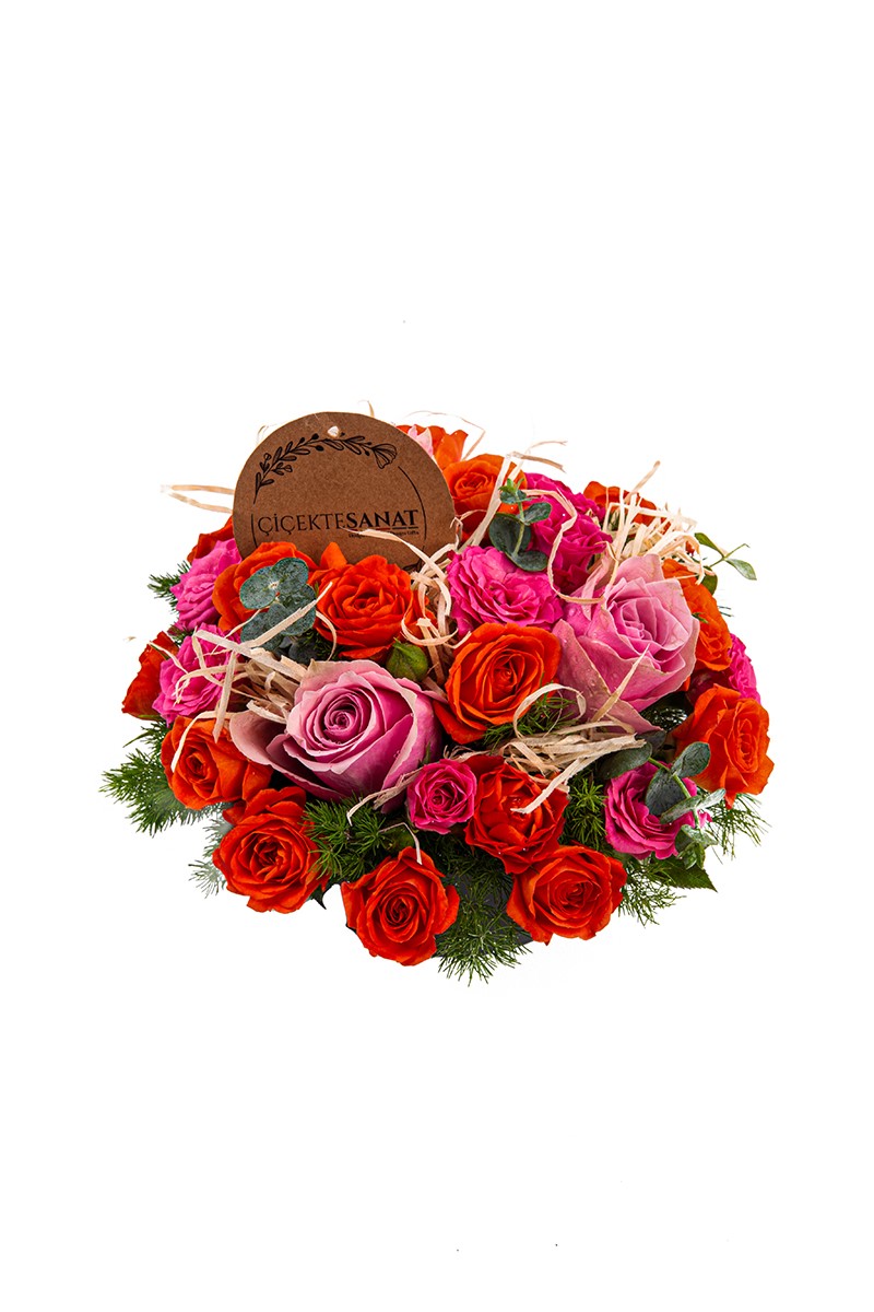 Rose Radiance