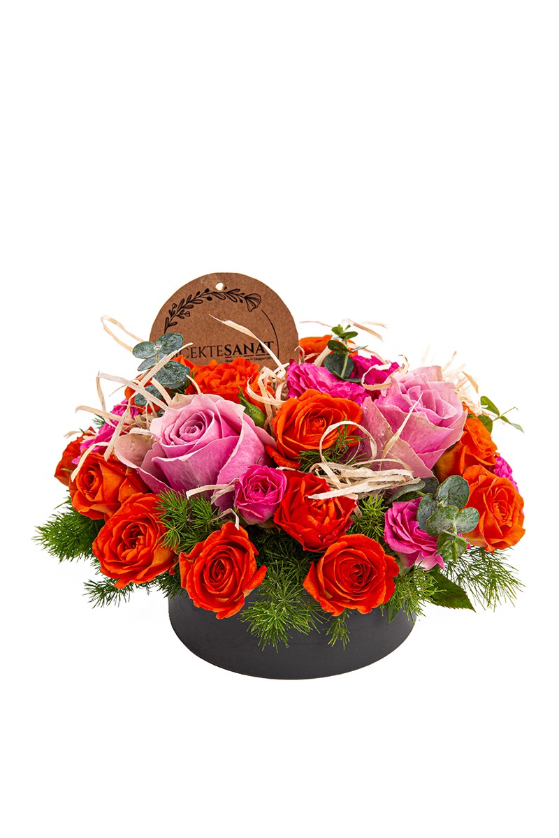 Rose Radiance