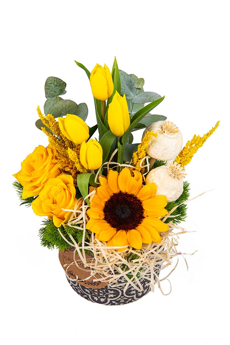 Tulip Sunflower