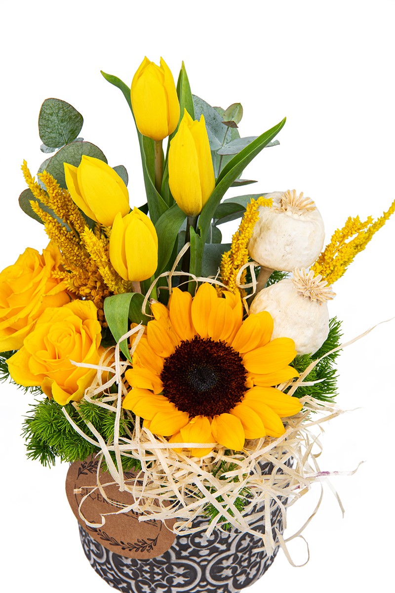 Tulip Sunflower