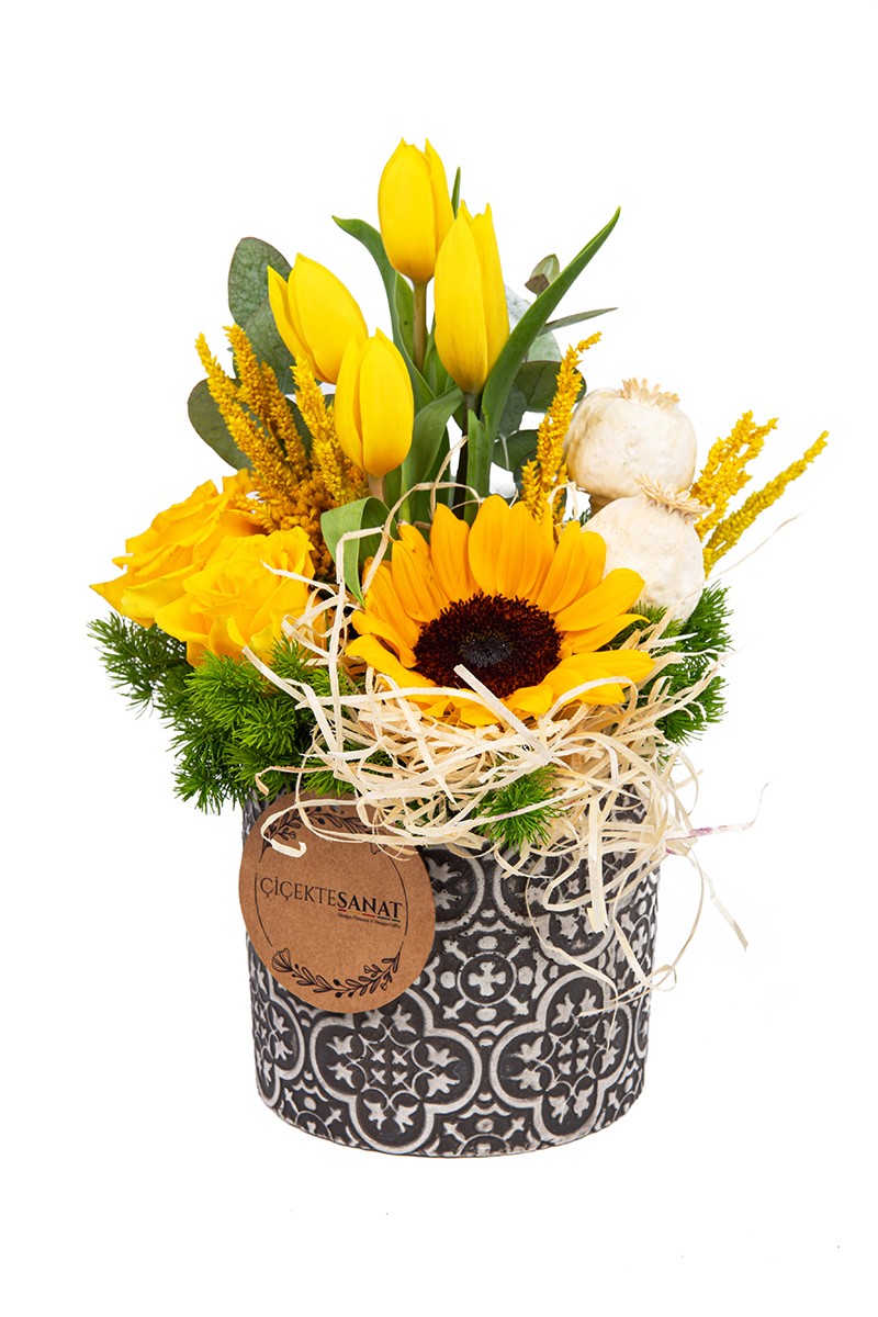 Tulip Sunflower
