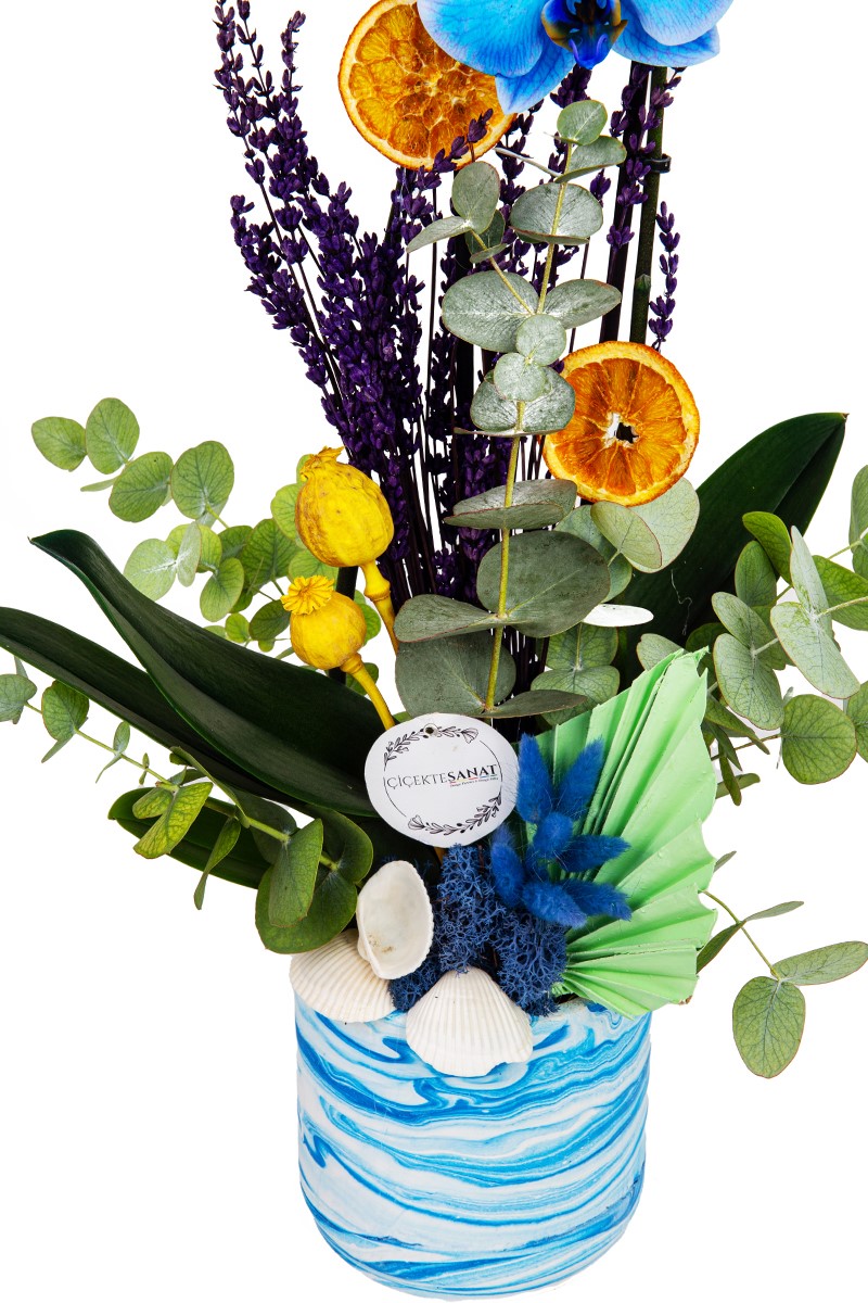Blue Orchid Party - 3