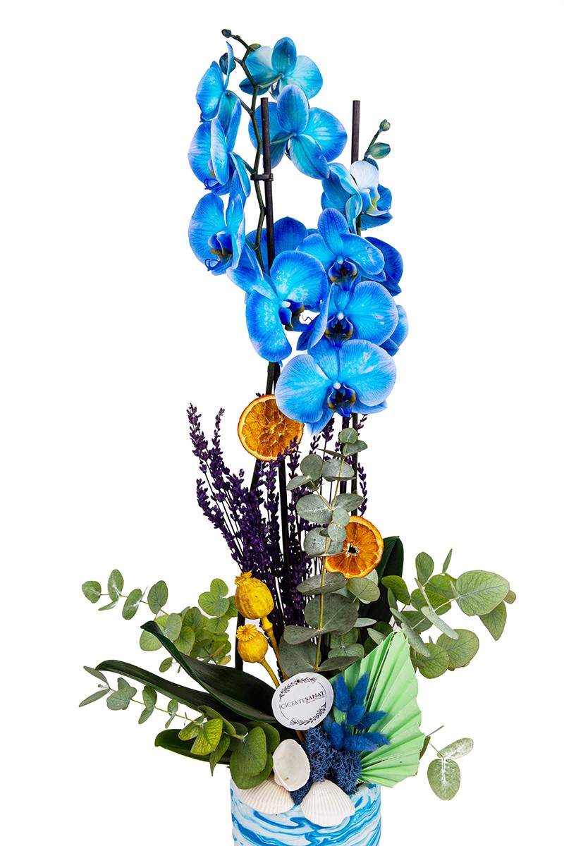 Blue Orchid Party - 4
