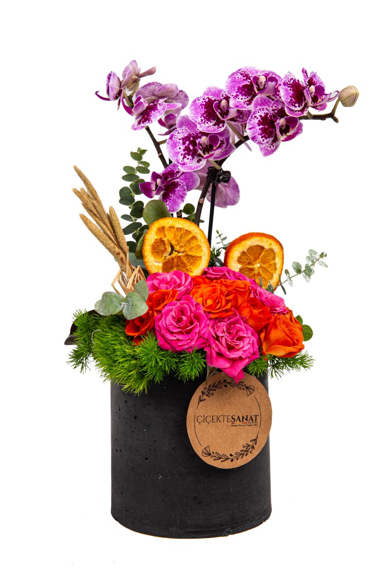 Energy Mood Orchid Arrangement - 3