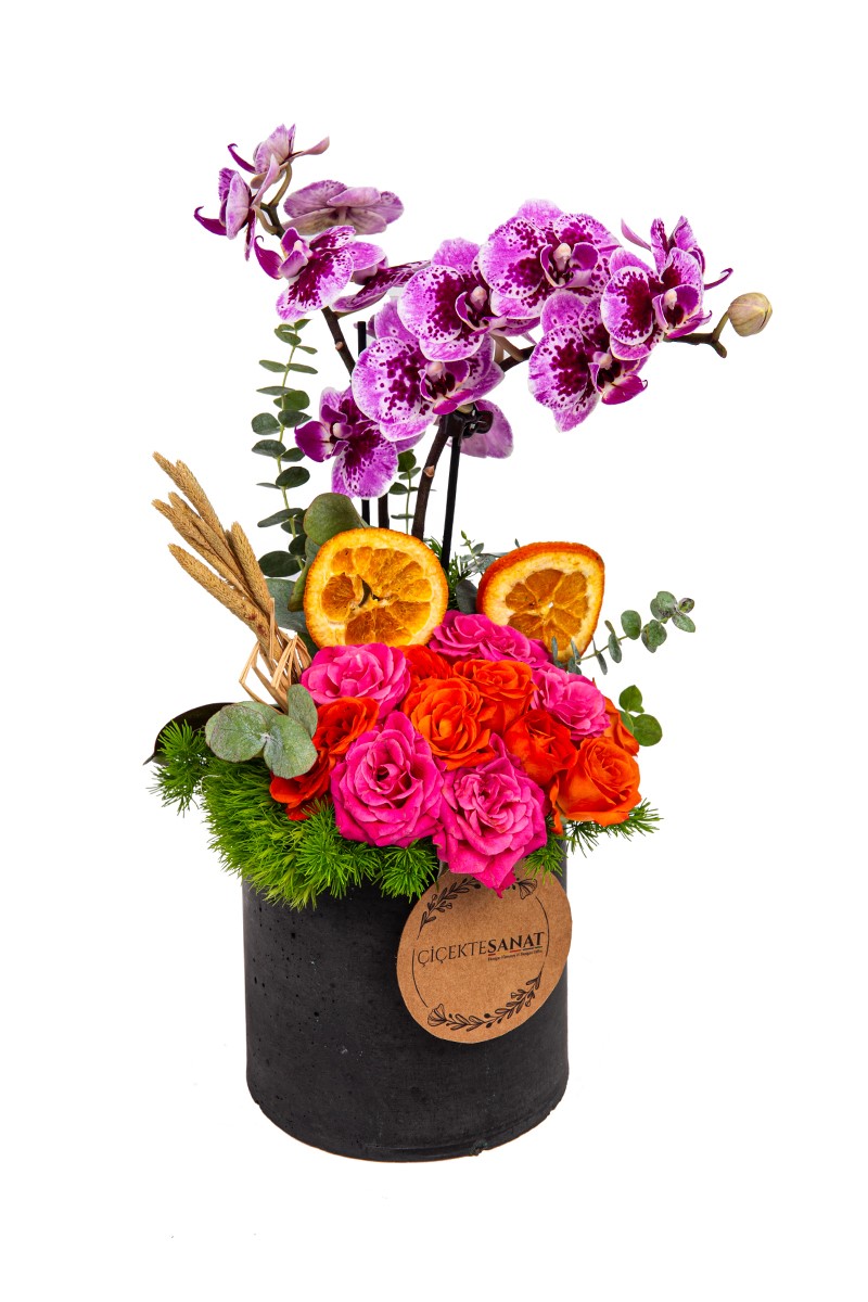 Energy Mood Orchid Arrangement - 1