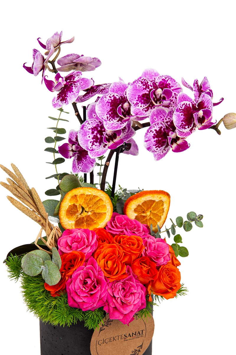 Energy Mood Orchid Arrangement - 2