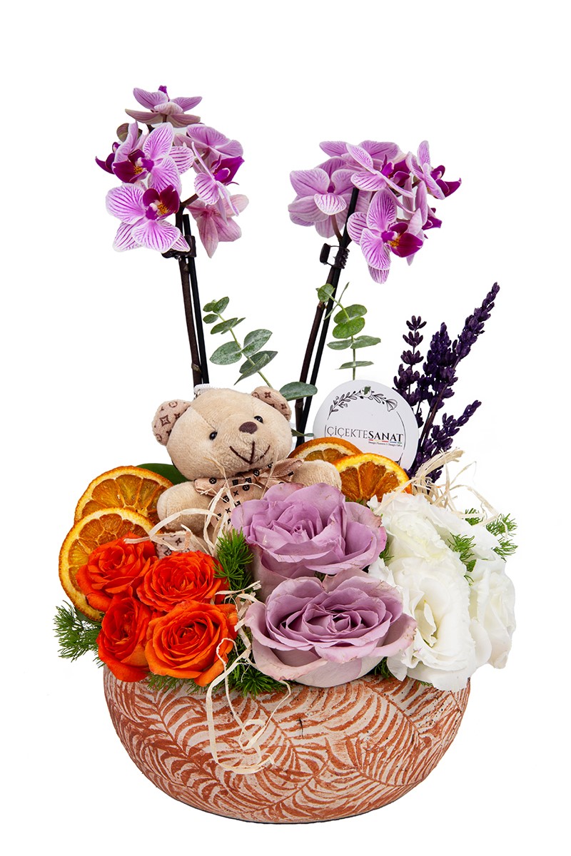 Bear And Roses - 1