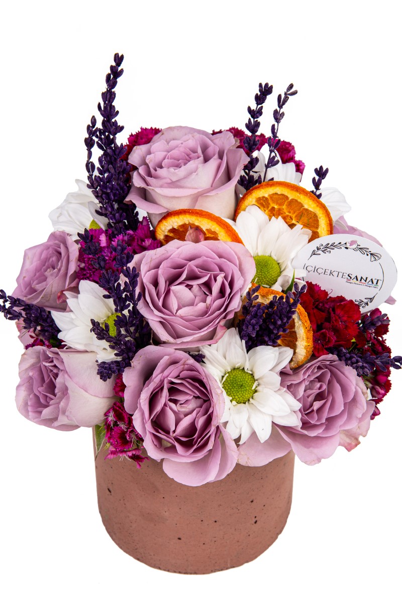 Lilac Rose Daisy
