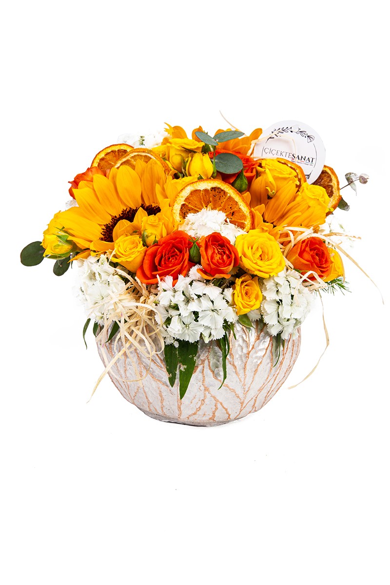 Sunflower Orange Rose