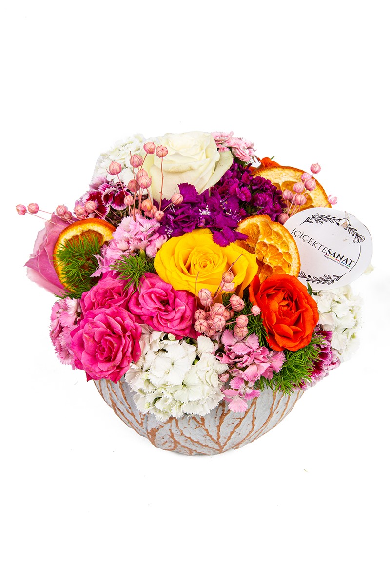 Decorative Fairy Rose - 2
