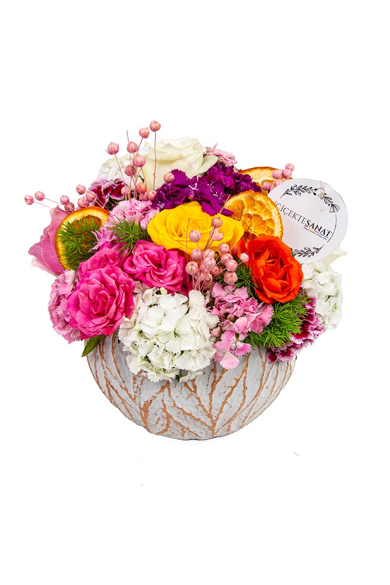 Decorative Fairy Rose - 1