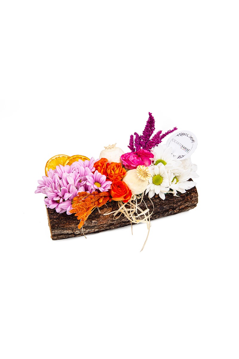 Organic Daisy