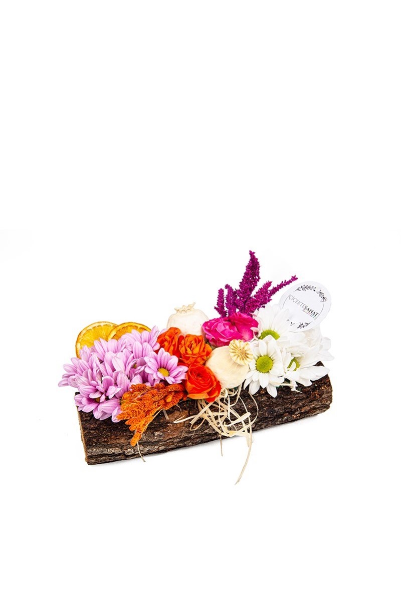 Organic Daisy