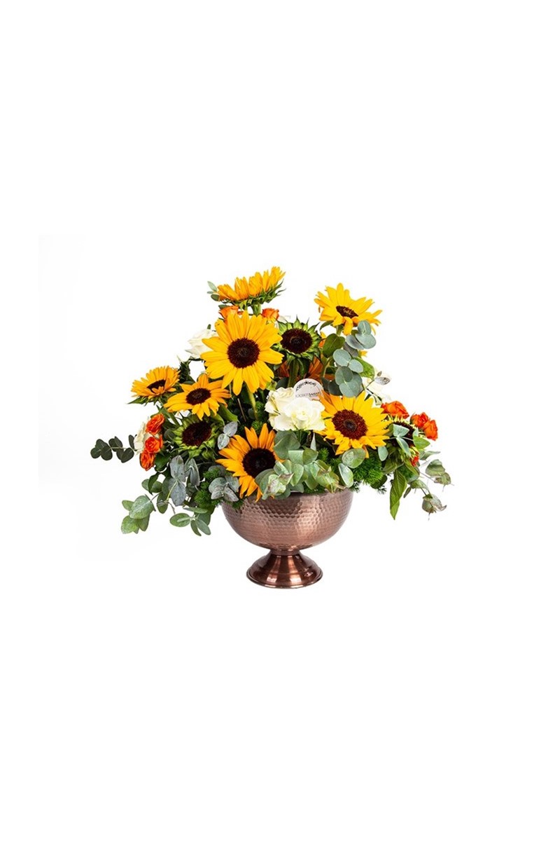 Sunflower Day