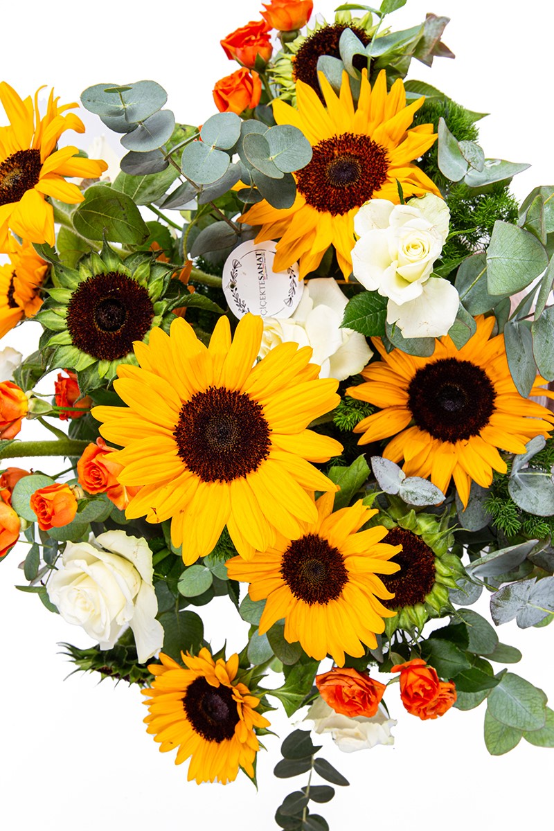 Sunflower Day