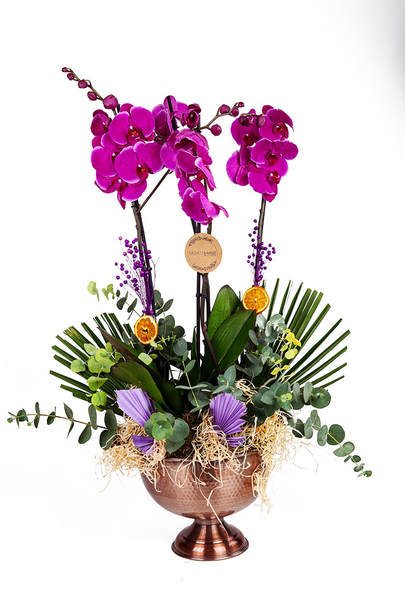 Purple Beauty İn Copper - 1
