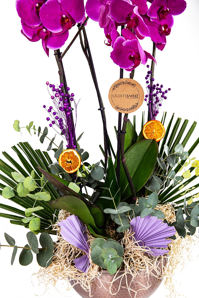 Purple Beauty İn Copper - 4