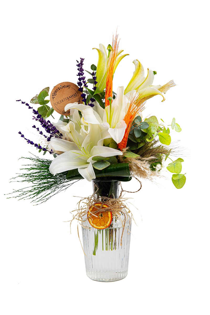 Madonna Lily