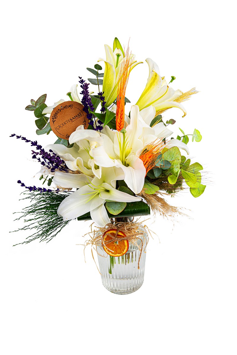 Madonna Lily