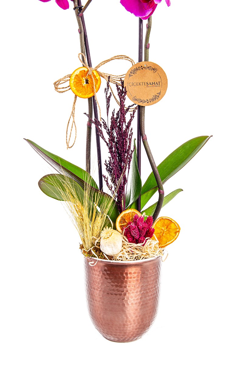 Purple Orchid in Copper - 3