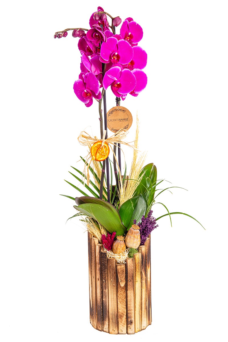Tropical Premium Orkide Design - 1