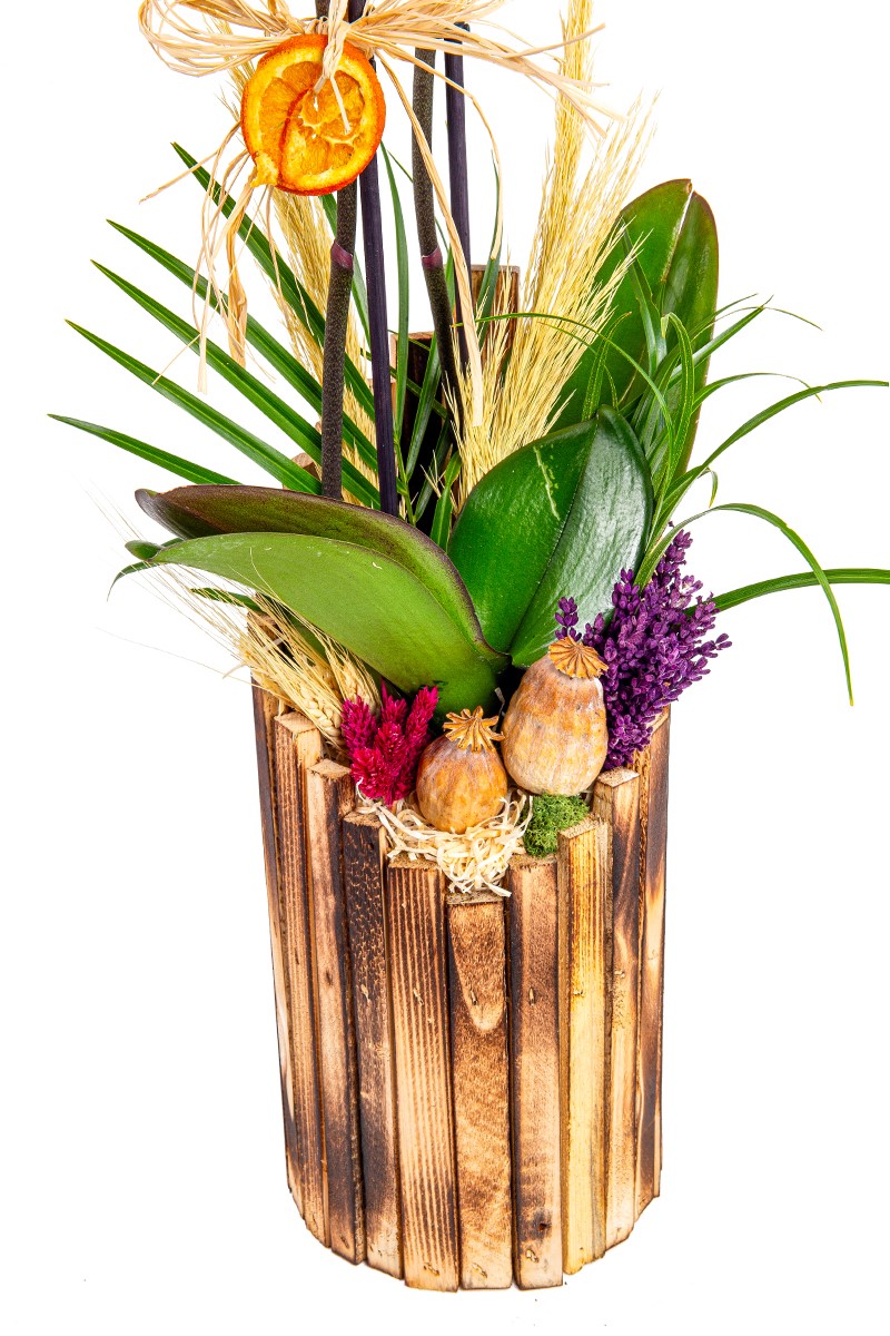 Tropical Premium Orkide Design - 4
