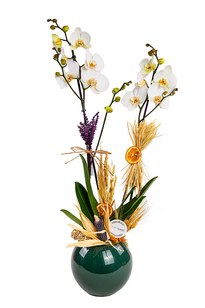 Luxury Gift - 1
