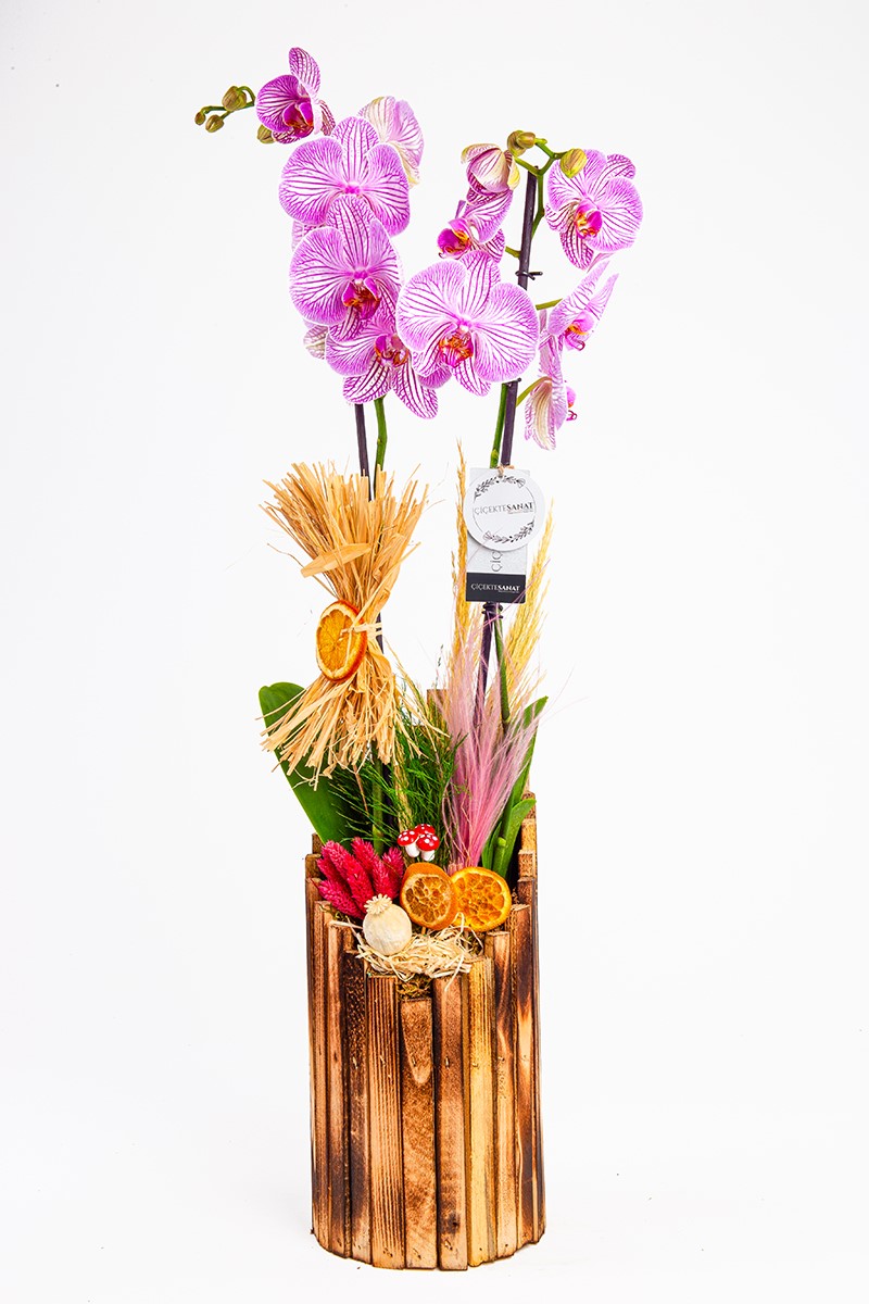 Wood Design - 1