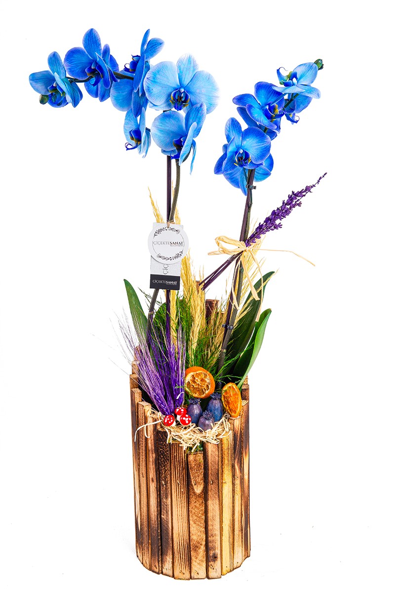 Wood Series Blue - 1