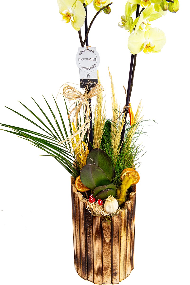 Wood Series Yellow - 3