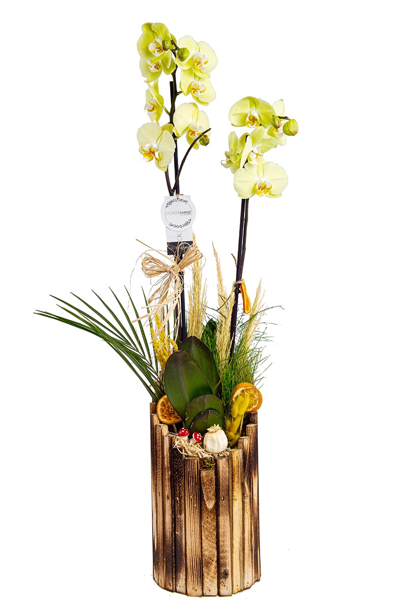 Wood Series Yellow - 1