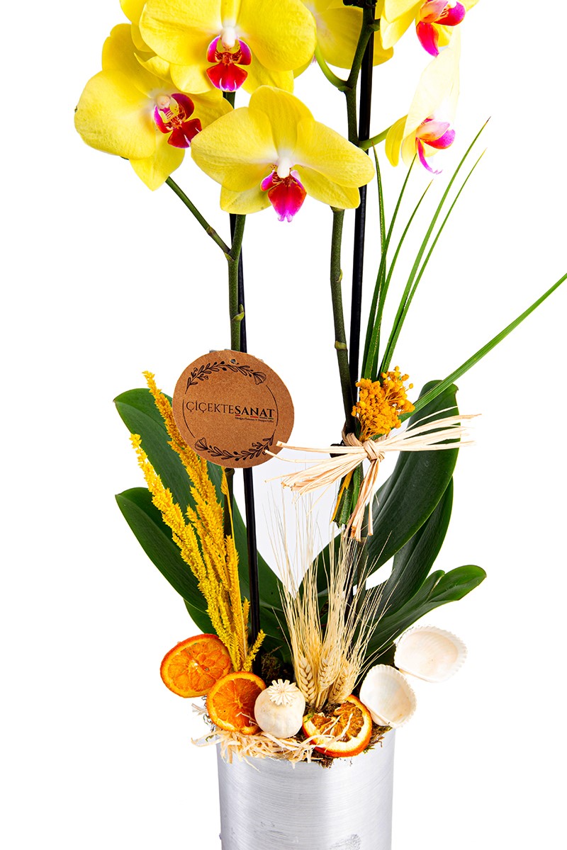Steel Design Yellow Orchid