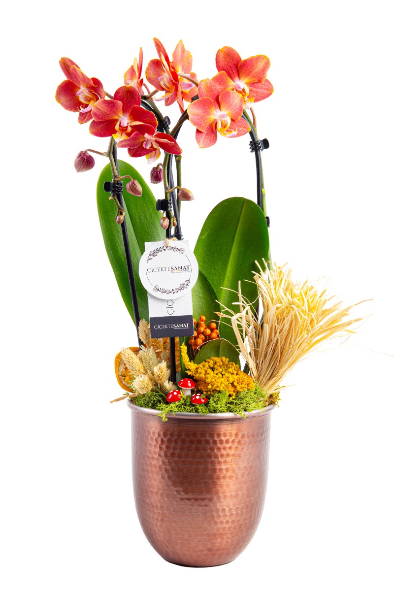 Luxury Copper