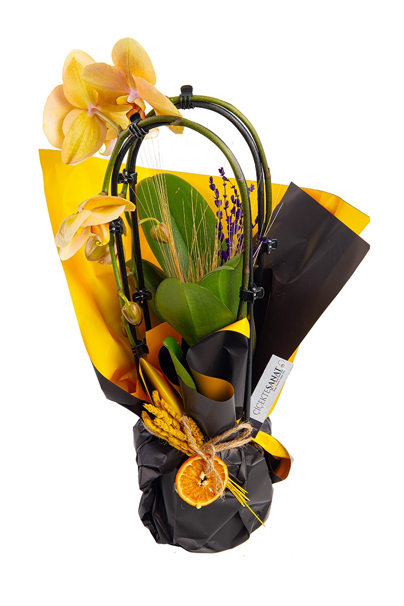 Yellow Explosion - 1