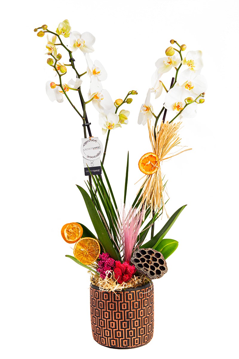 Like Forest Premium Orkide - 1