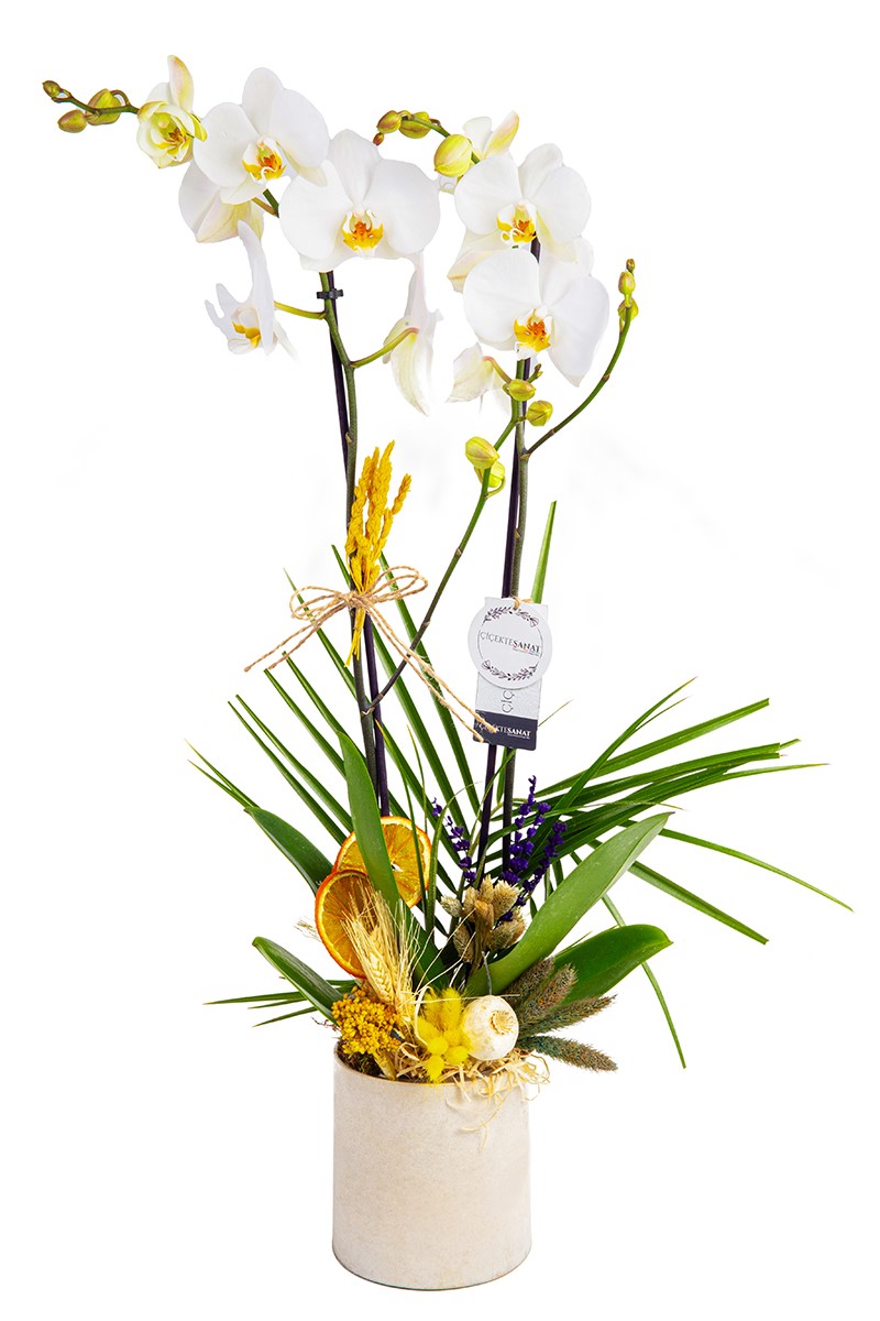 Passion For White - 1