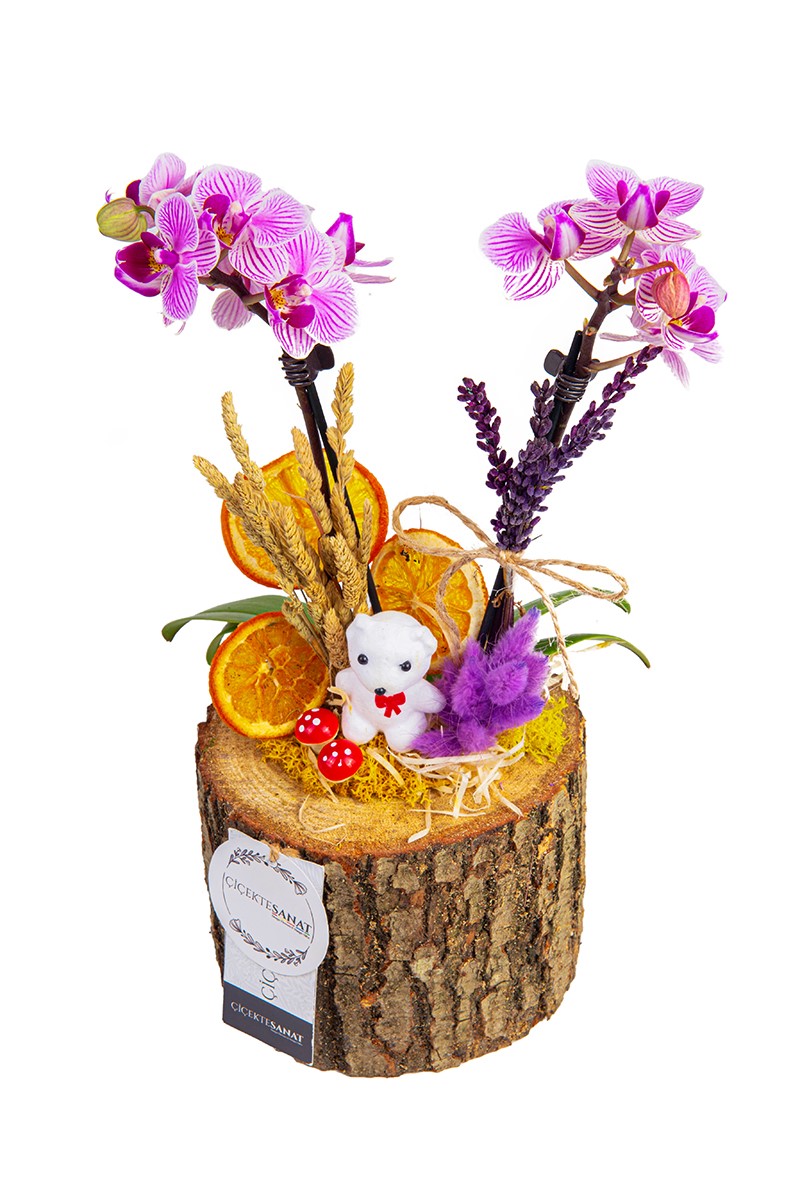 Naturel Mini Orchid - 2