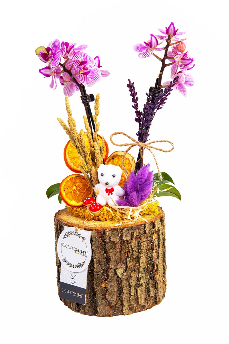 Naturel Mini Orchid - 1