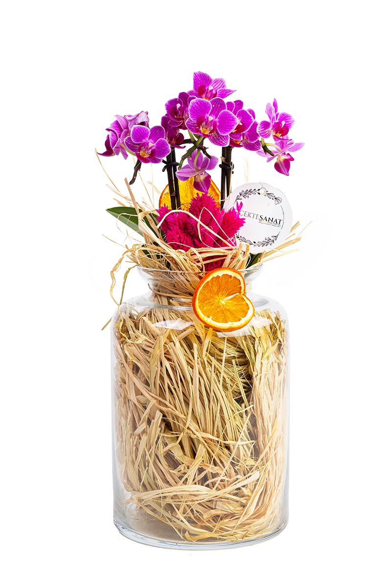 Naturel Mini Orkide