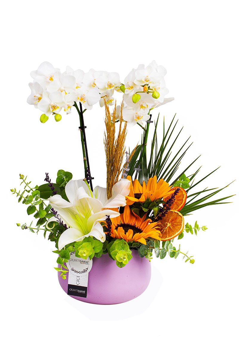 Blessing Orchid Arrangement
