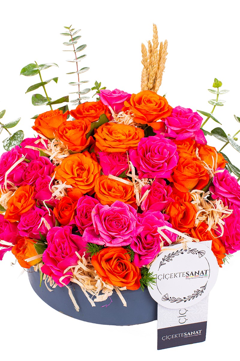 Rose Dance