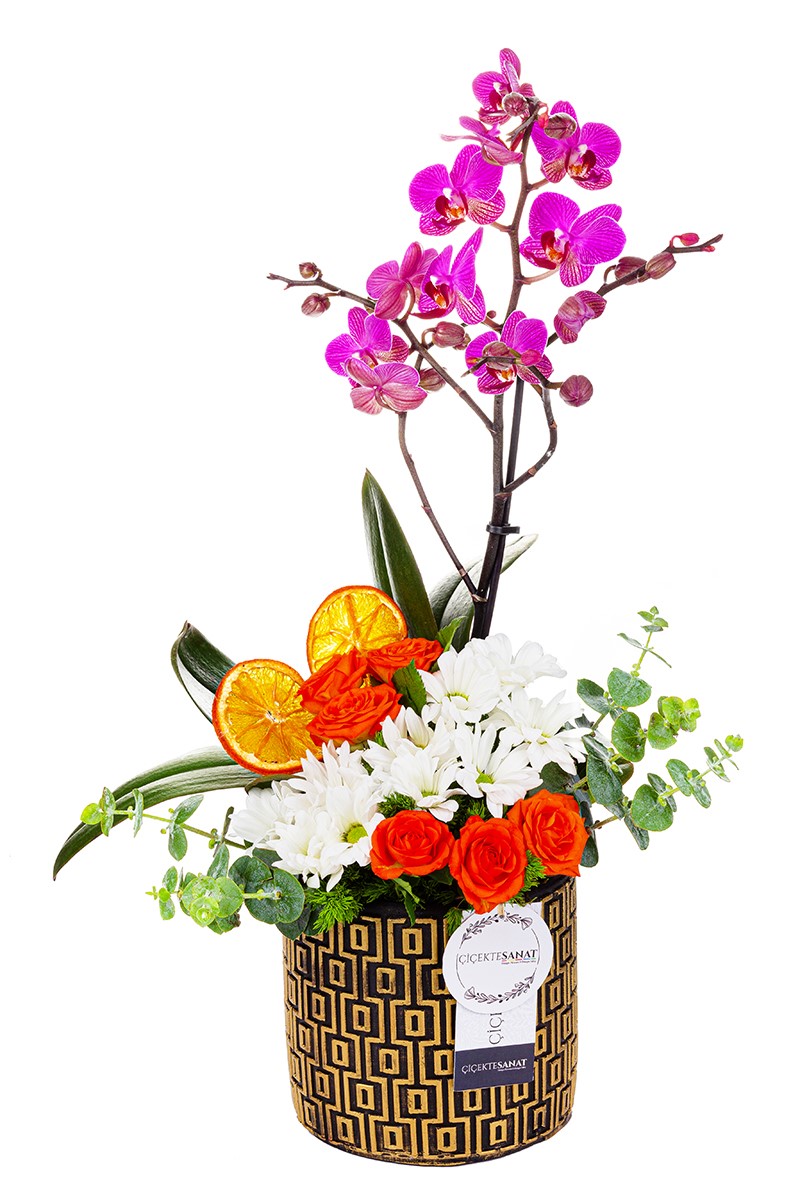 Mixed Dessert Superior Arrangement