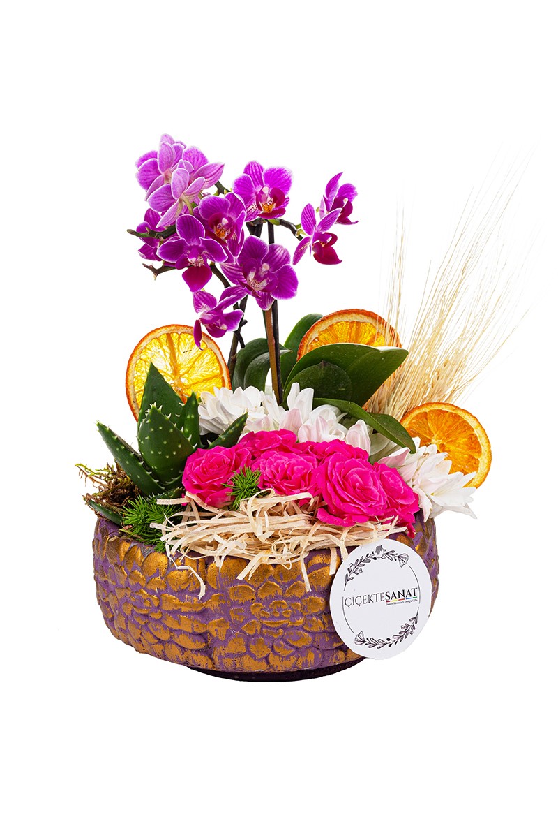 Pretty Orkide Aranjmanı